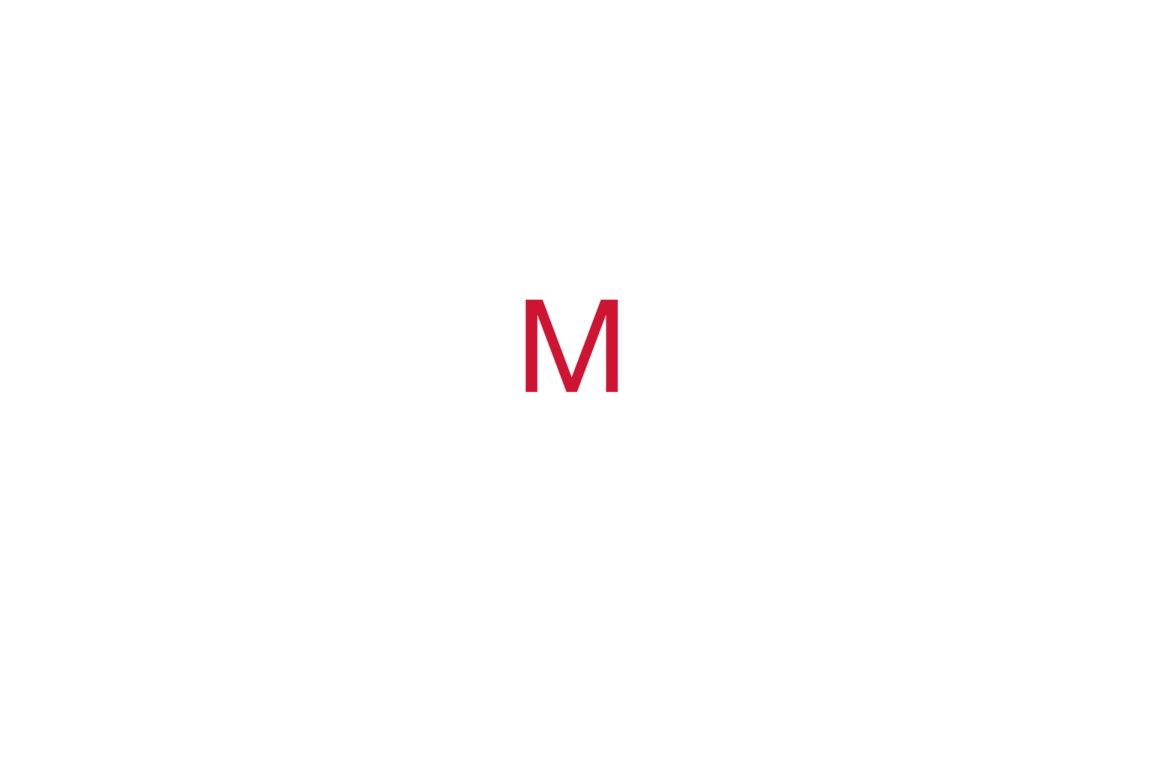 ┃Gemini Video┃