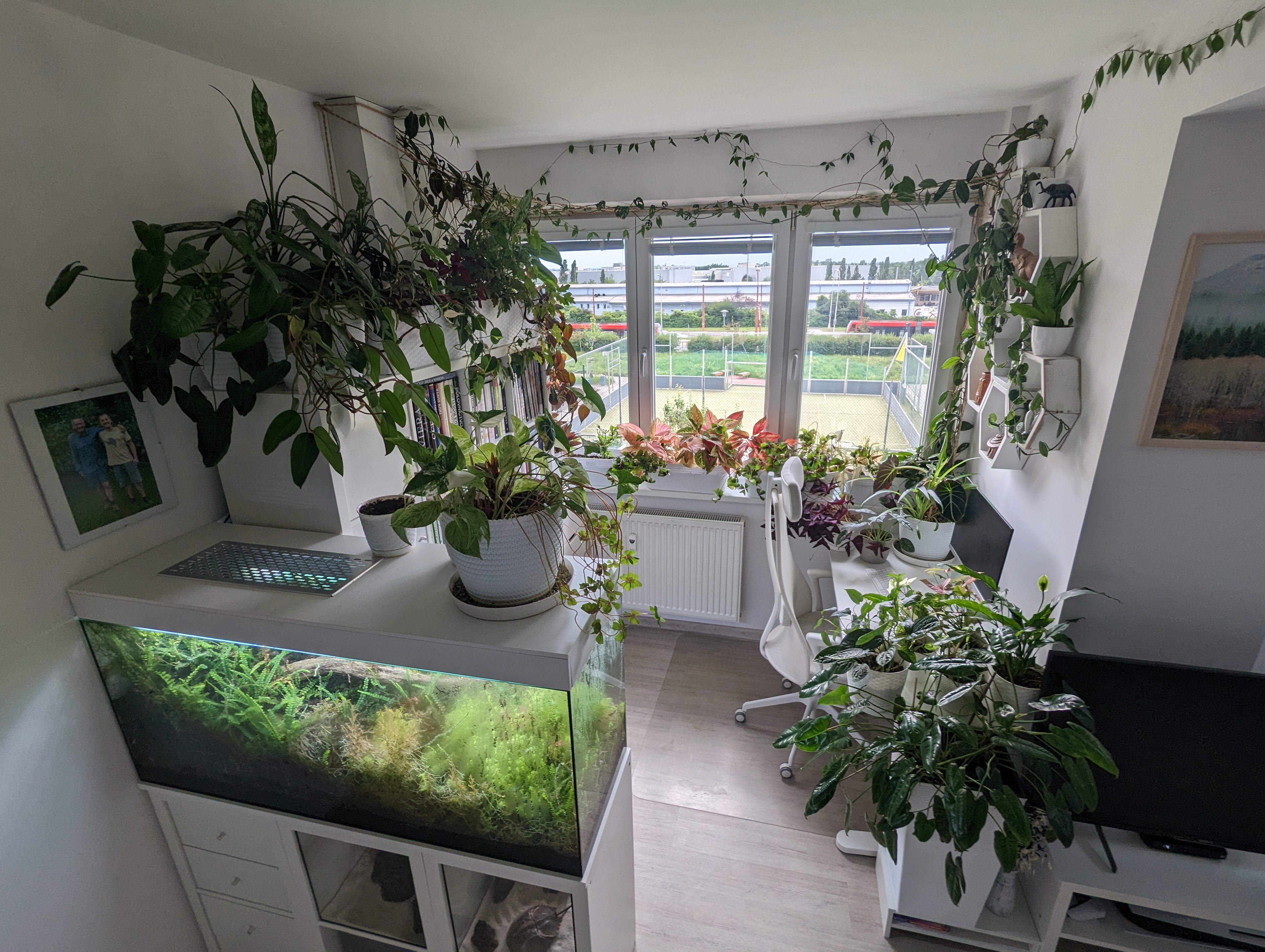 terarium paludarium bioaktvne terarium rastlinne izbove rastliny byt maly garzonka juzne oknojpg