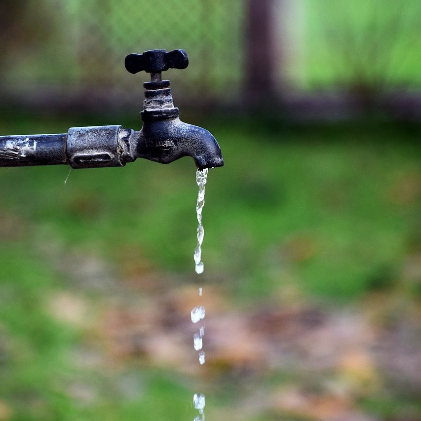 Ako šetriť vodou vo vašej záhrade