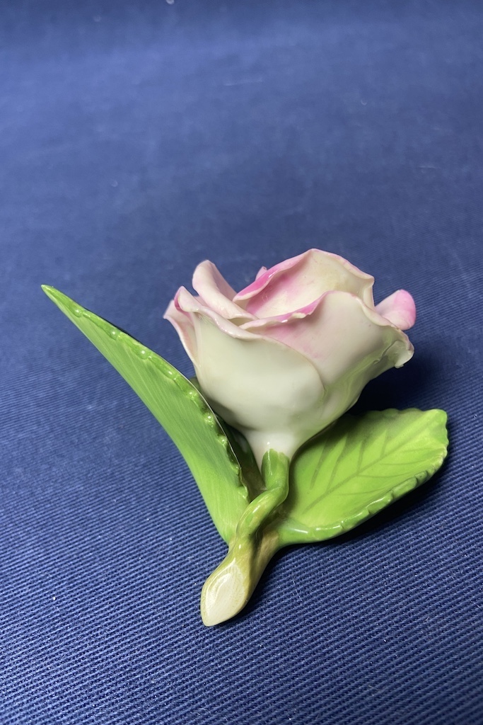 Kvet ruža Flower rose HEREND