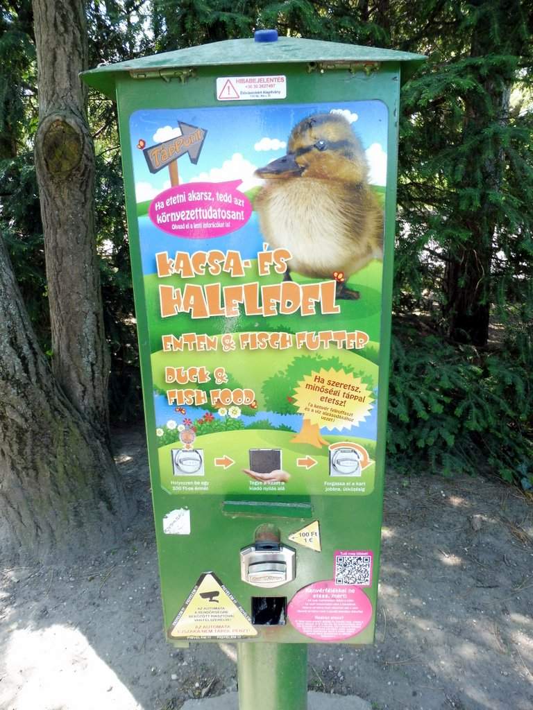Automat na krmivo/A vending machine for duck and fish feed
