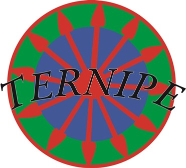 Ternipe - združenie pre rómsku mládež na Slovensku a v Maďarsku