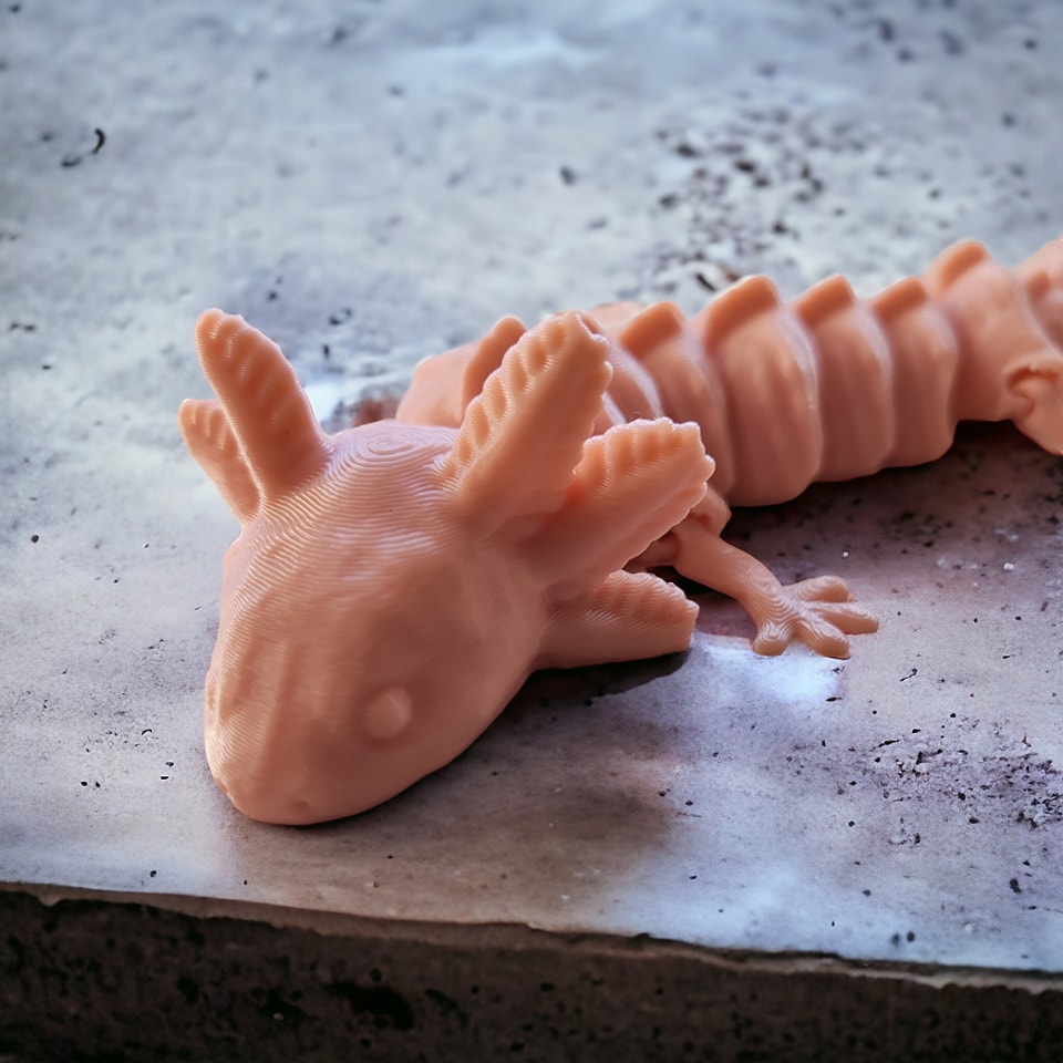 3D obybný AXOLOTL