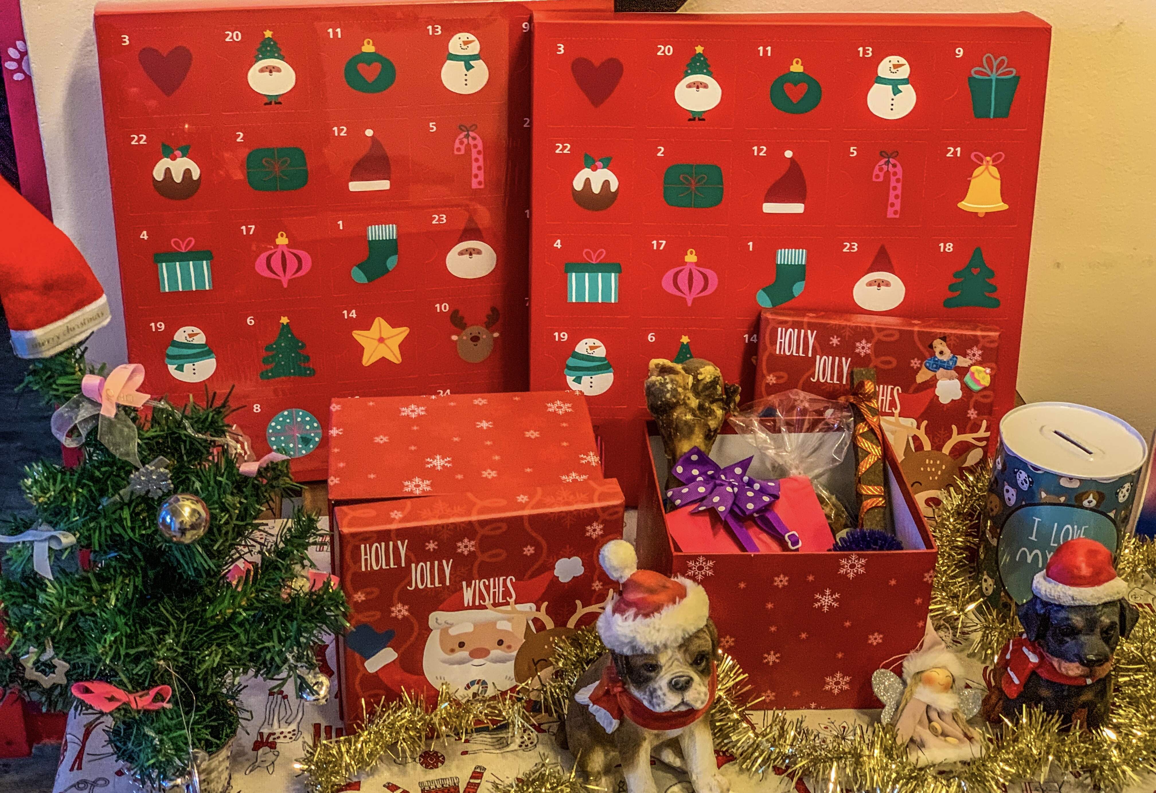 Vianočný BOX pre poslušné hauky