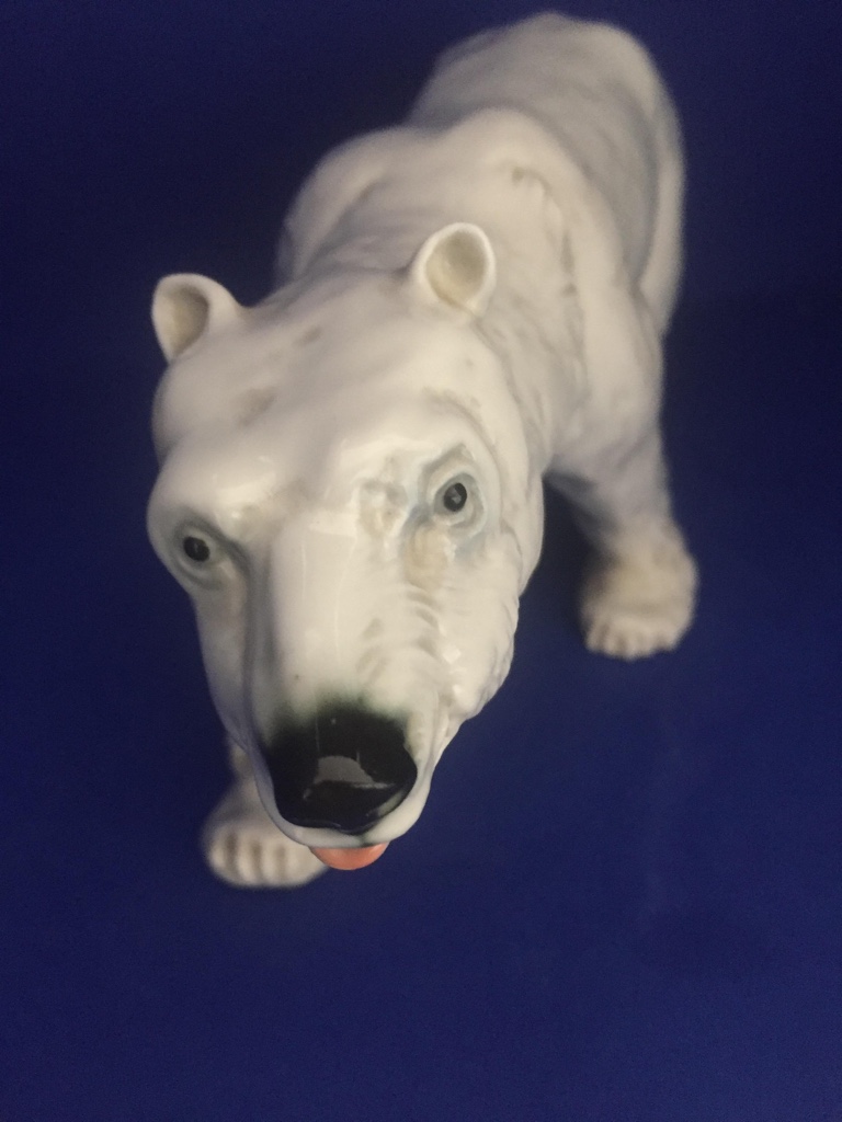 Biely Medveď  Polar bear KARL ENS
