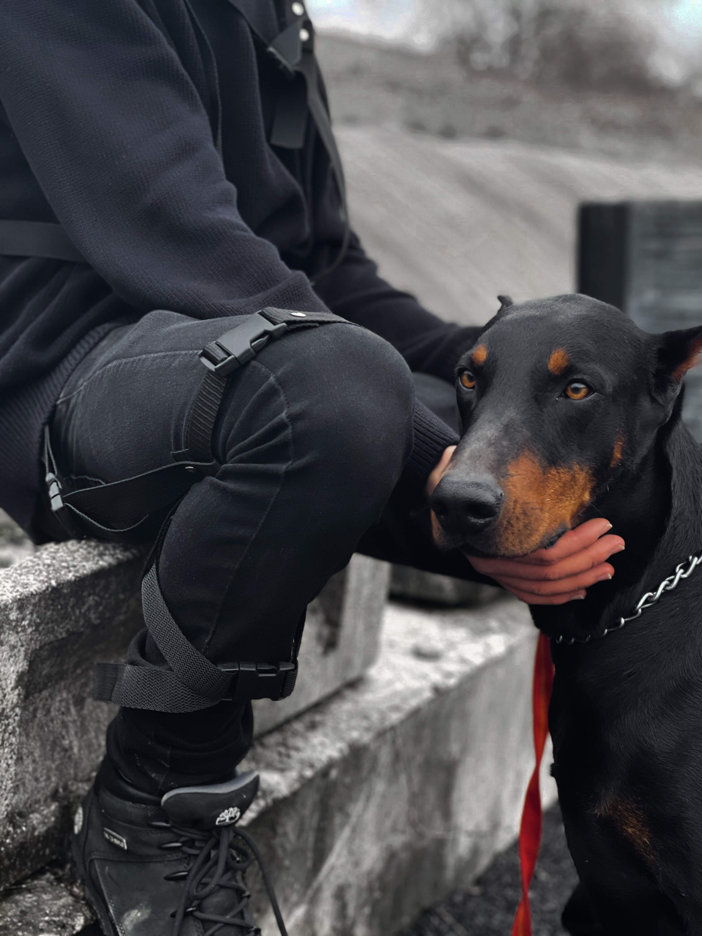 Double Lower Body Harness