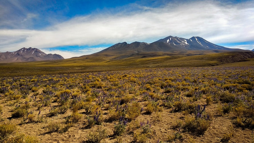 Rozmanité Čile: Púšť, zasnežené hory a ozajstný Robinson Crusoe