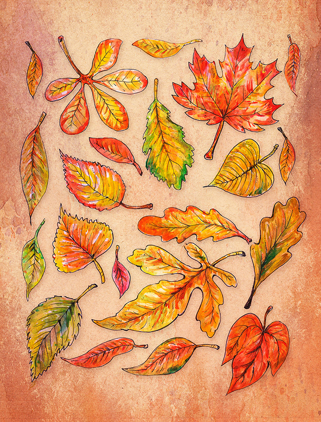 Művészi nyomatok dedikálva. Őszi hangulatok. Gombák és őszi levelek plakát