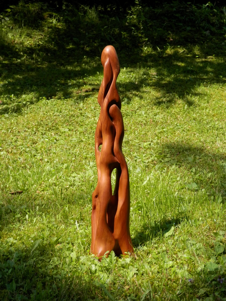 čerešňa, 50 cm