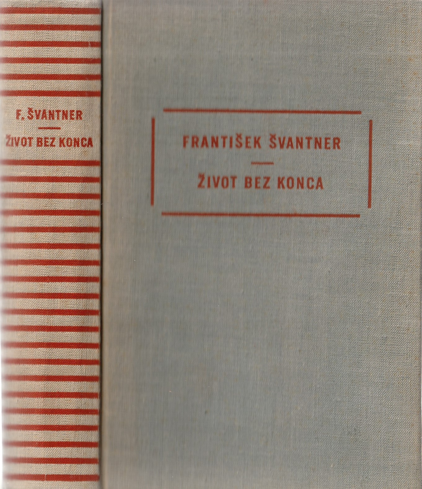 Švantner František - Život bez konca