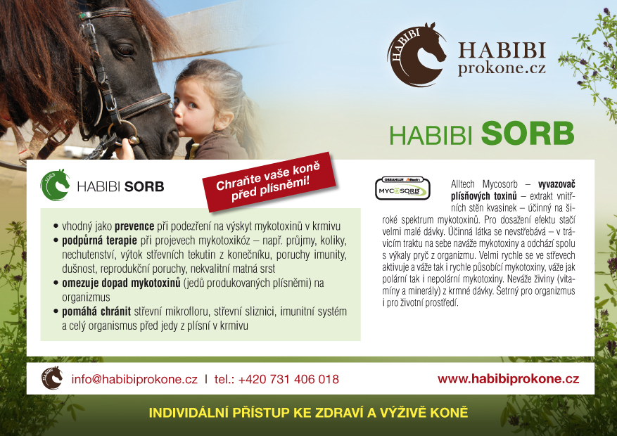 HABIBI-SORB