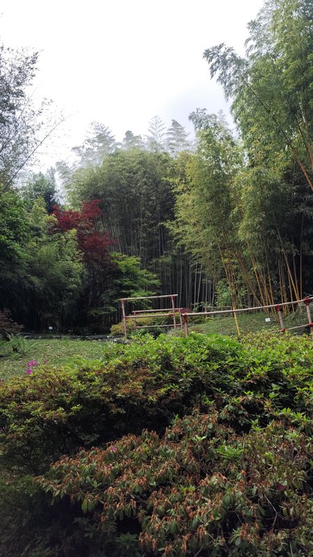 Cesta z japonskej záhrady