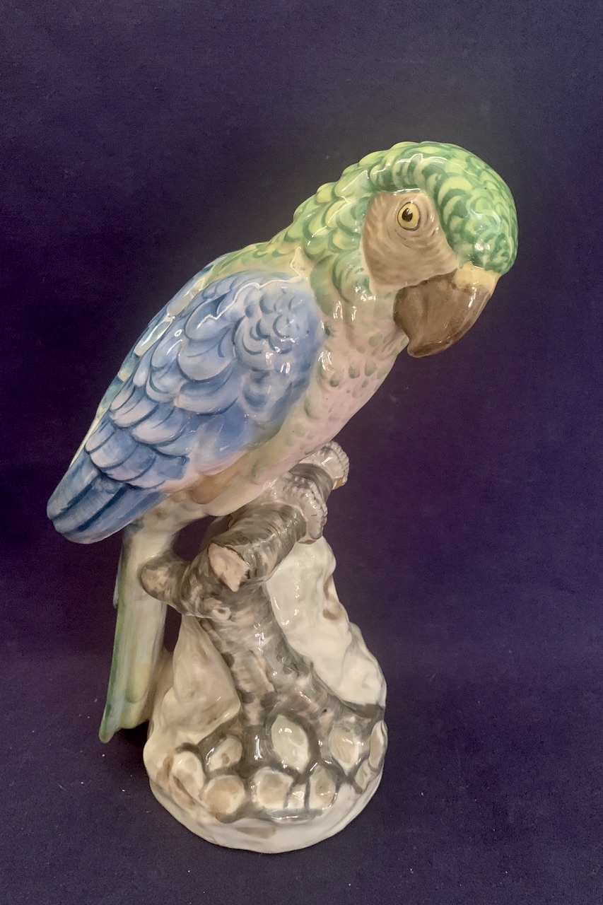 Papagaj Parrot DUBI