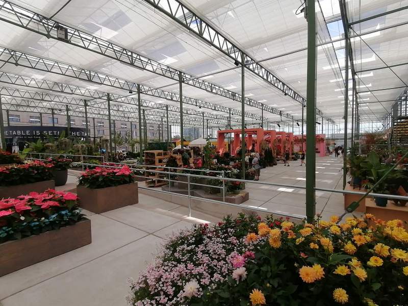 Vnútri skleníkov/ Inside greenhouses