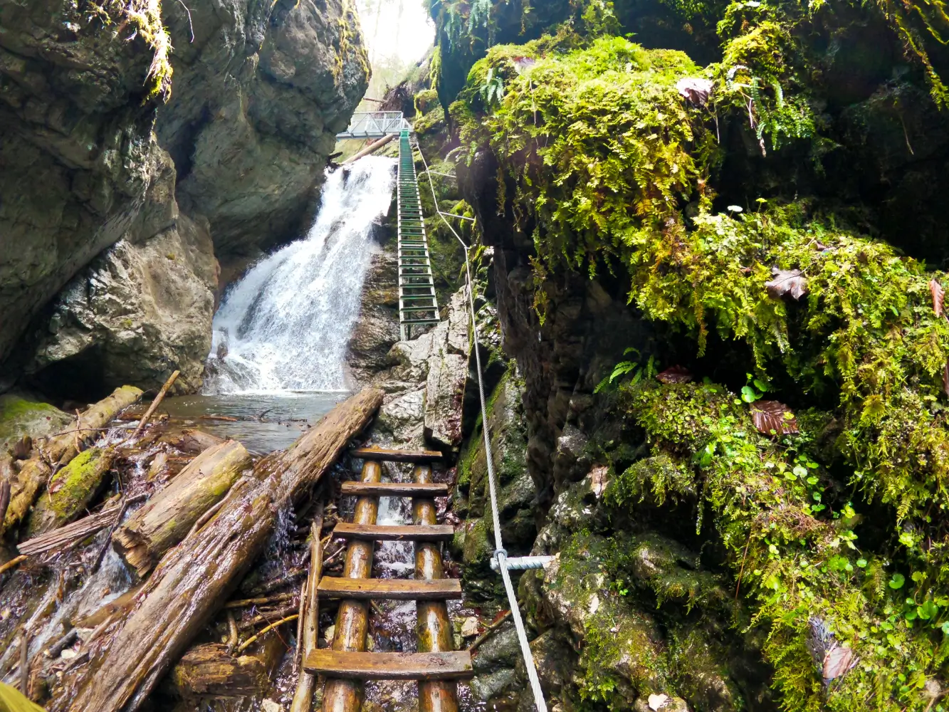Rebríky, stúpačky, oceľové laná, ale najmä jedinečná príroda. Zoznámte sa so Slovenským rajom.
