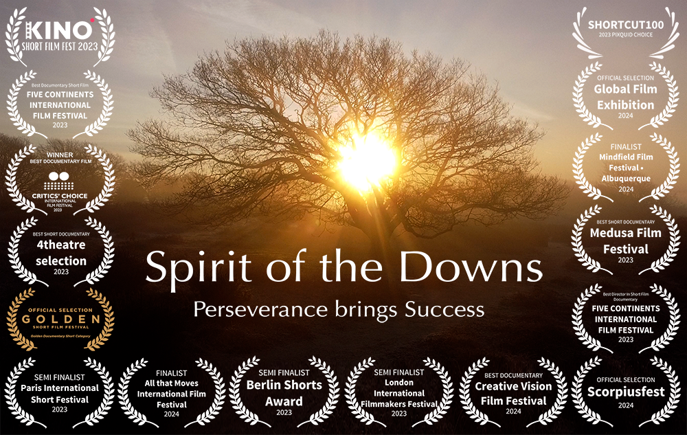 Spirit of the Downs AWARDS to 181223png