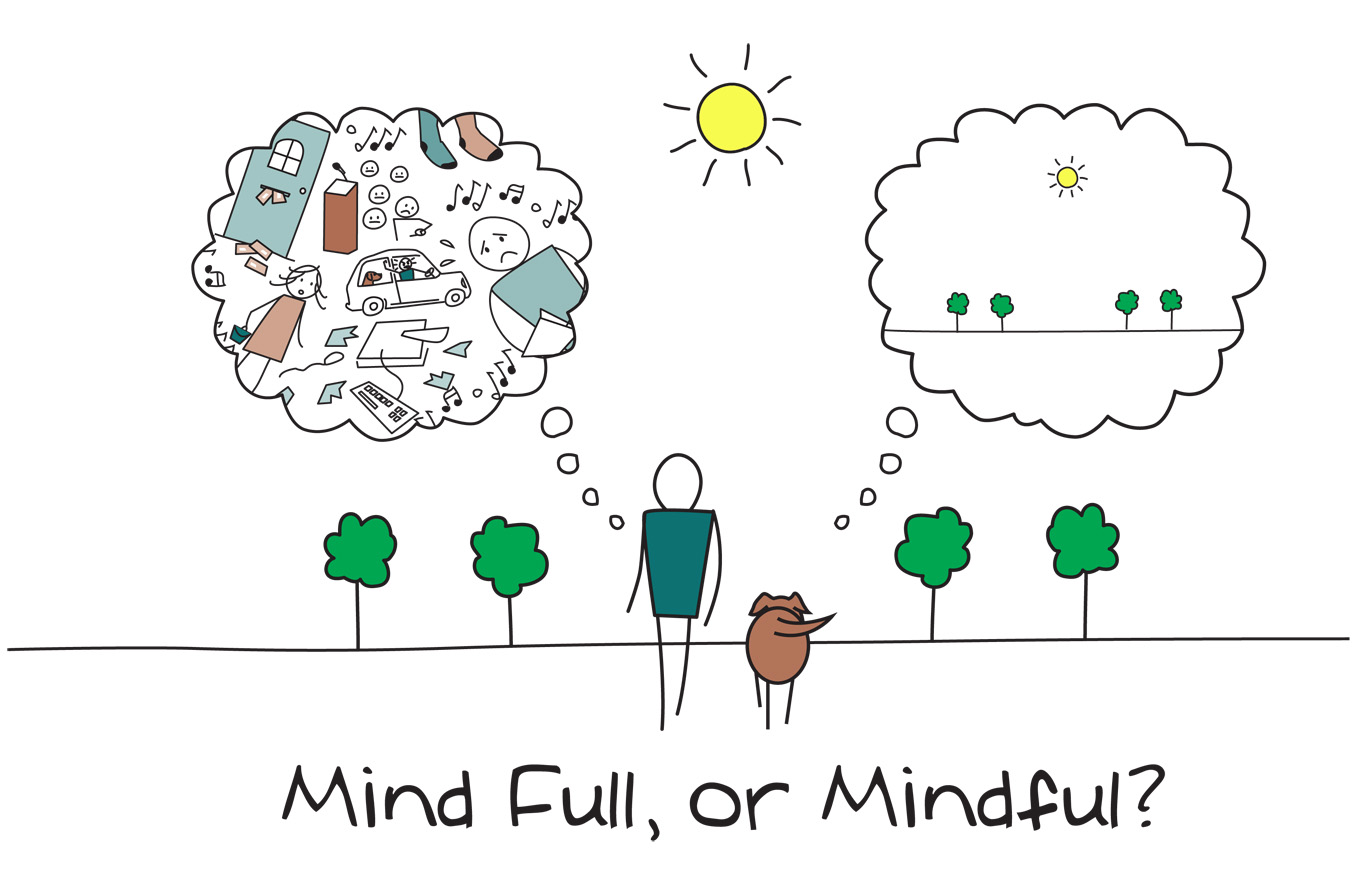 Mindfulness alebo všímavosť v koučingu