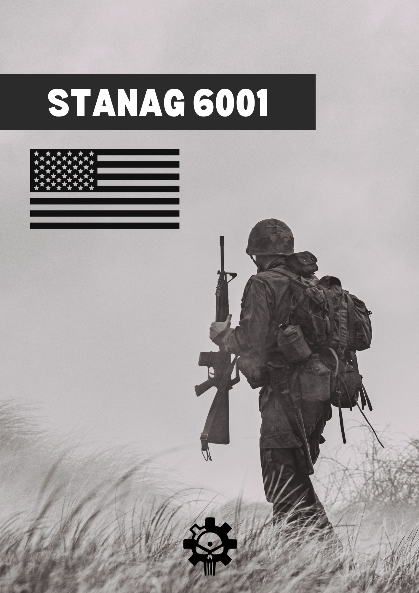 Individual English course - STANAG 6001 (3333)