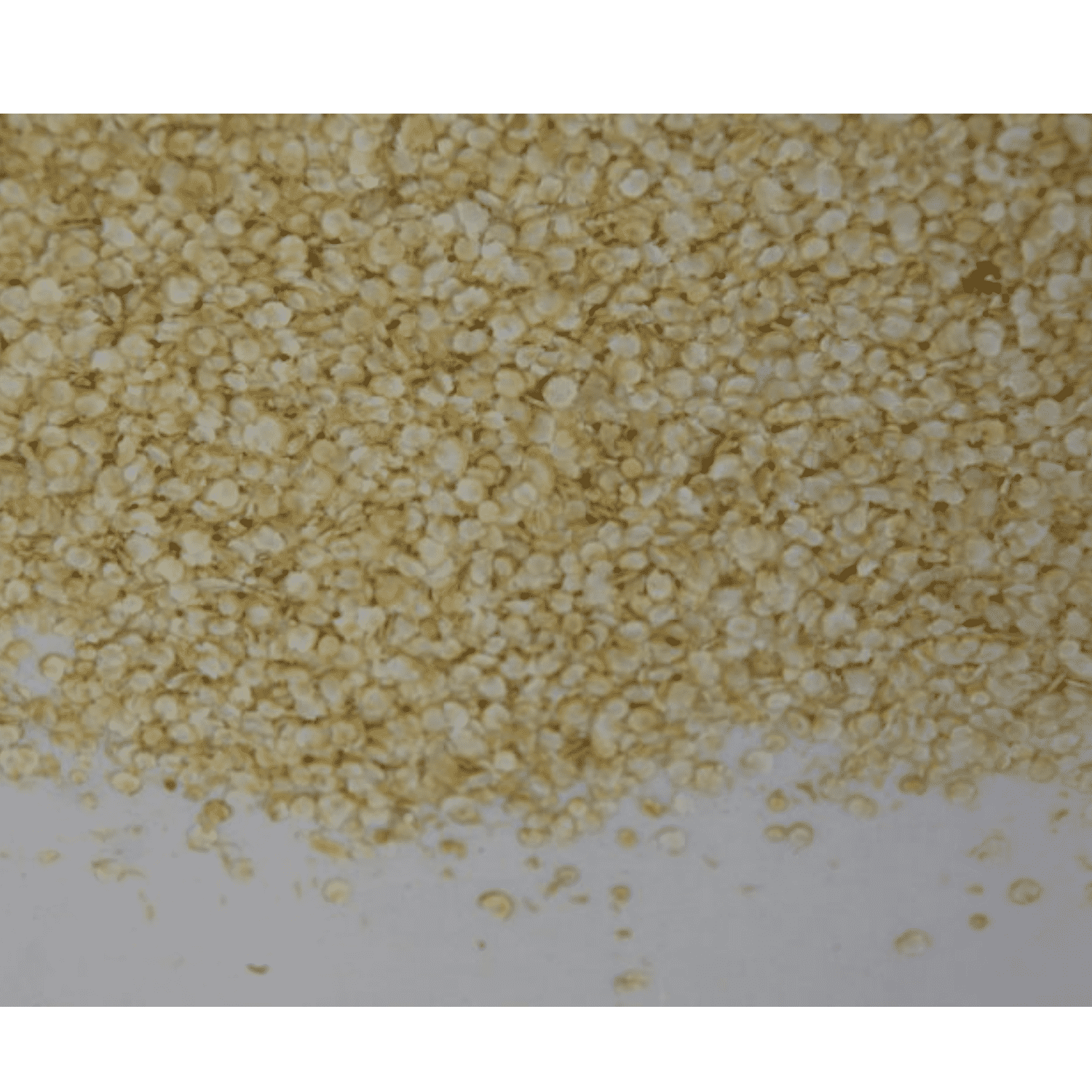 Instantné quinoa vločky (300g)
