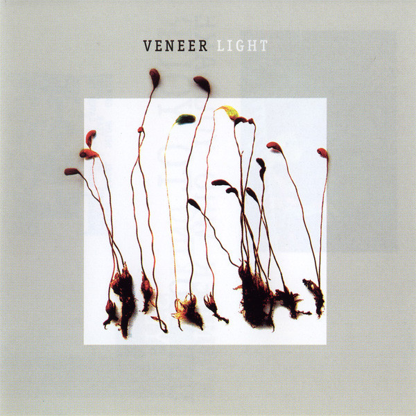 Veneer ‎– Light