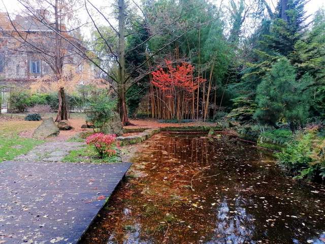 Japonská záhrada/ Japanese garden