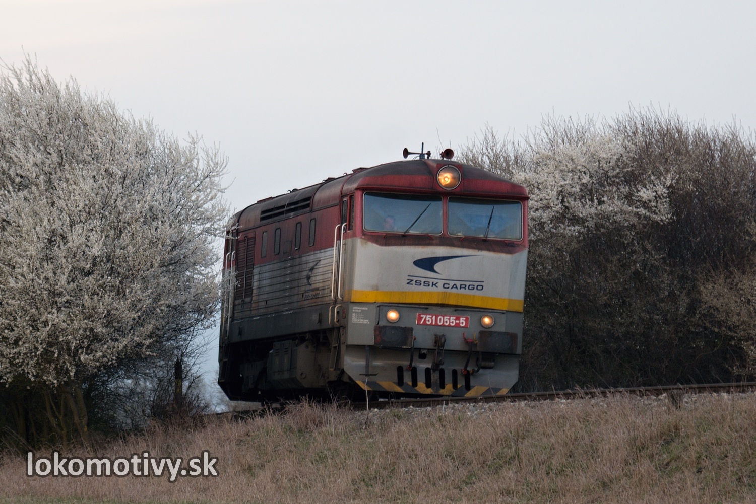 Záchrana nákladného vlaku na Záhorí