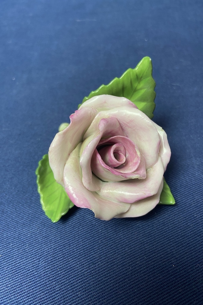 Kvet ruža Flower rose HEREND