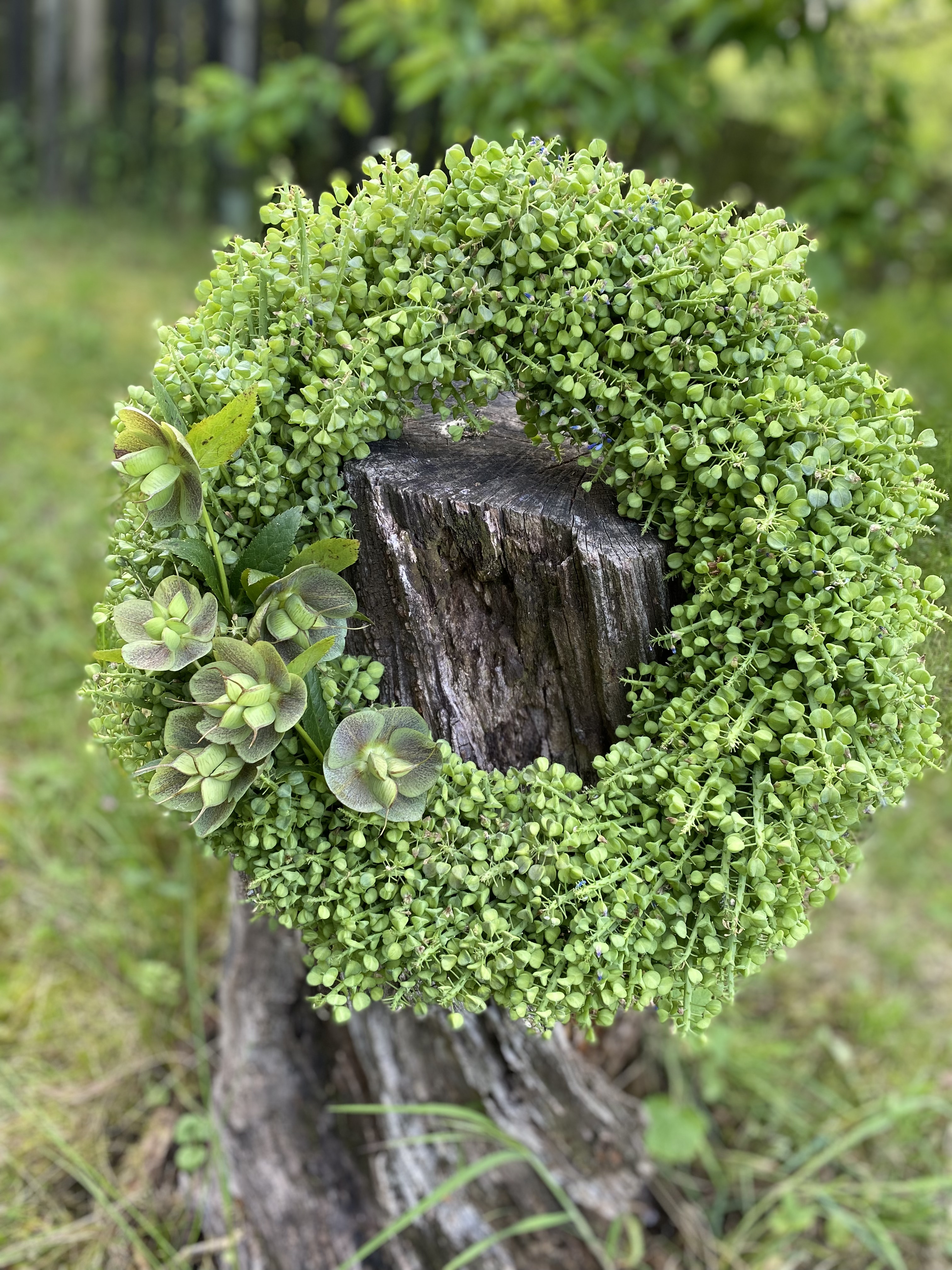 Věnec " simply green " - cena: 520,-czk