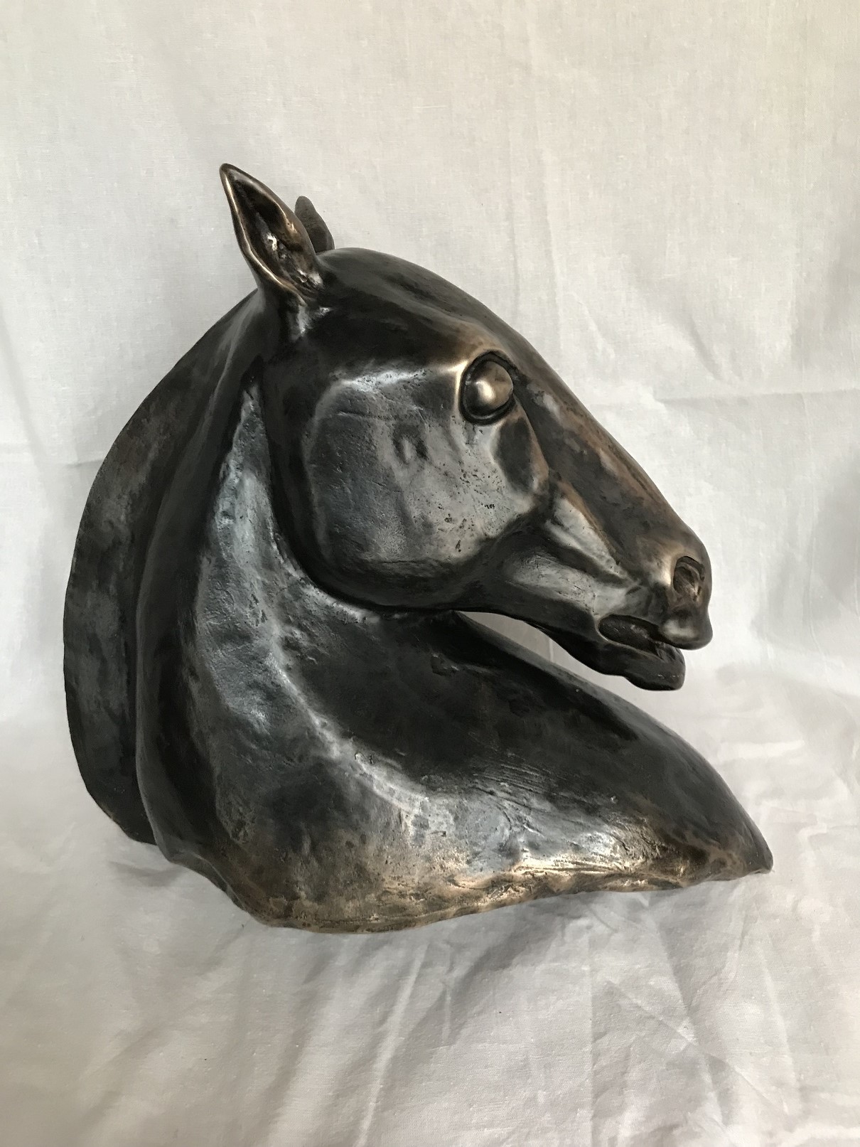Csasznyi Dénes, cassysculpture, horse, stallion, bronze sculpture,