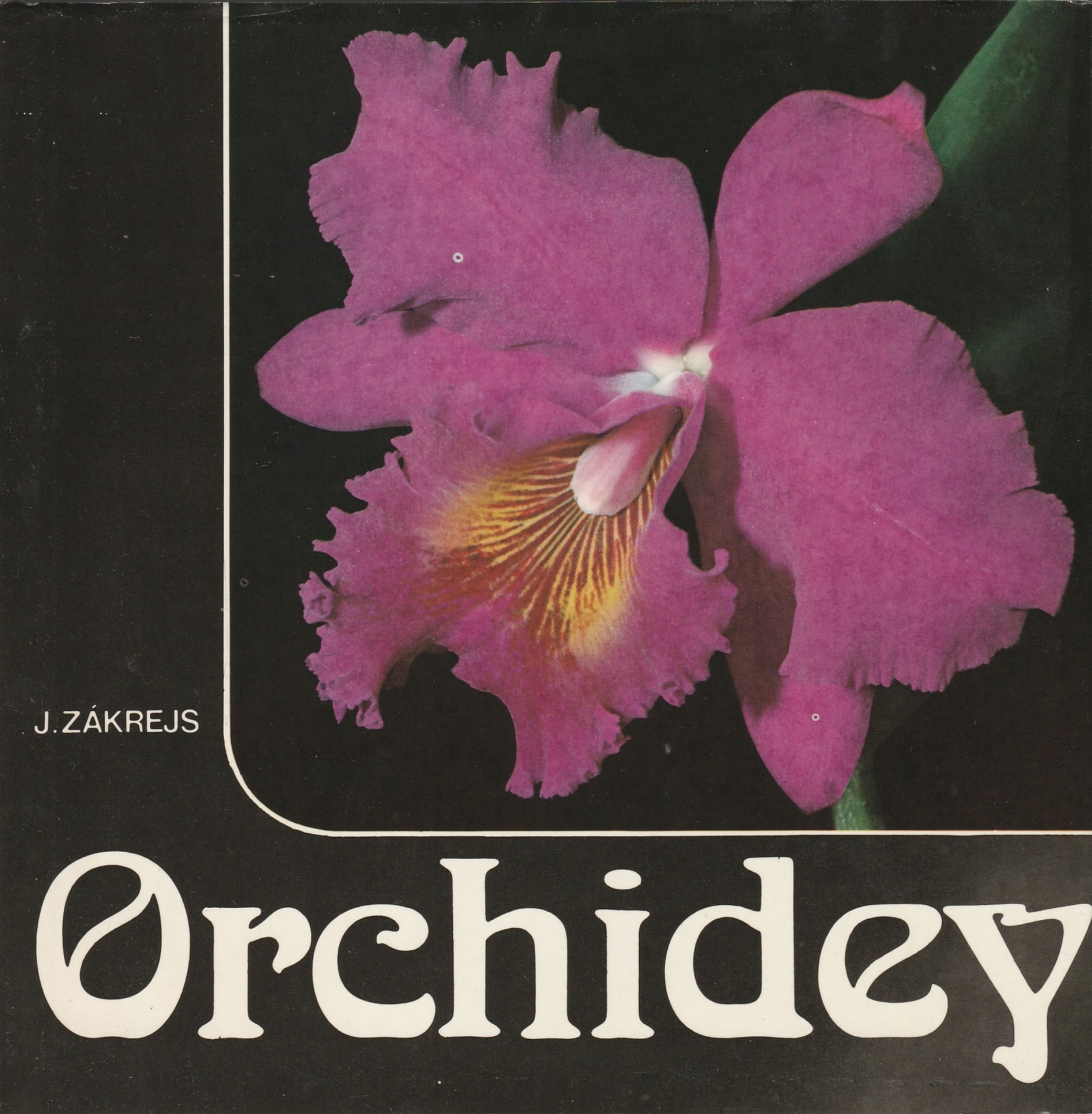 Zákrejs Jiří - Orchidey