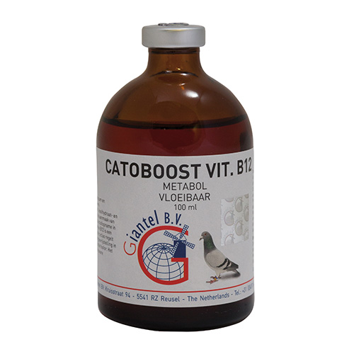 catoboost-vit-b12jpg