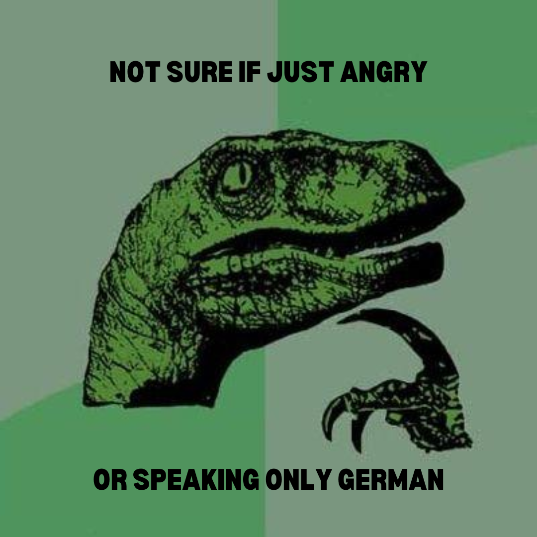 Mastering German Sentence Structure