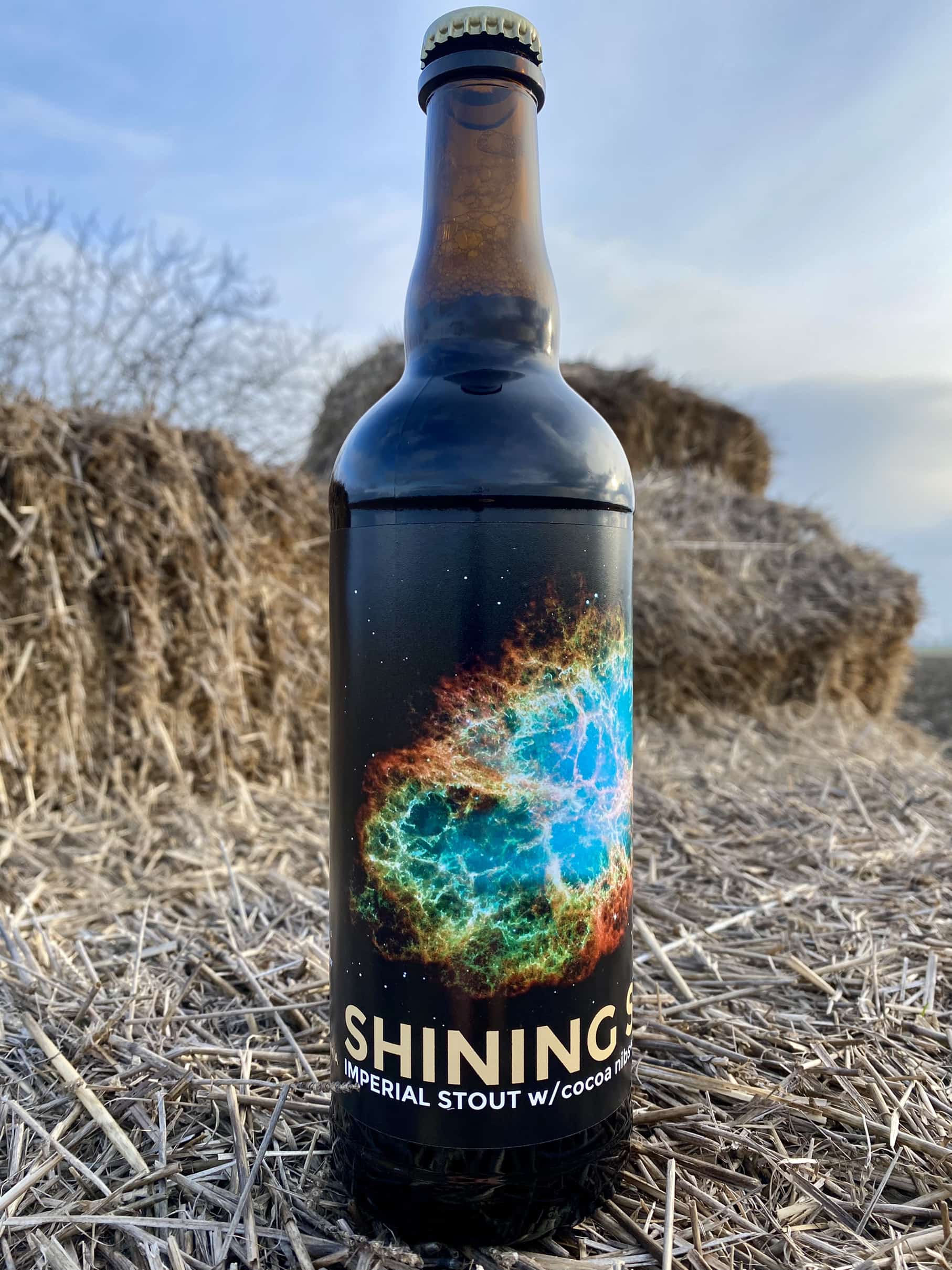 SHINING STAR - IMPERIAL STOUT 21°