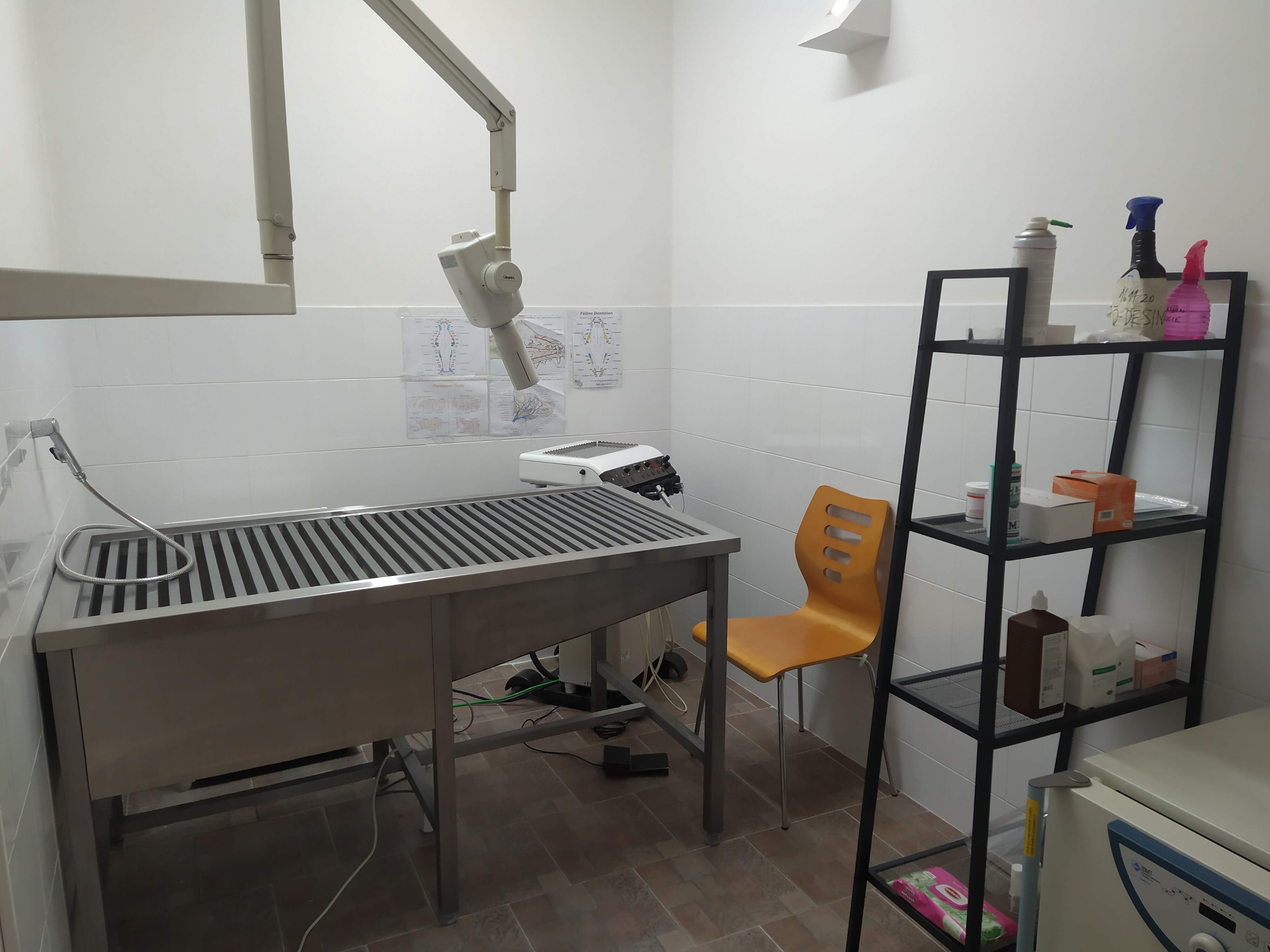 V roudnické ordinaci máme veškeré vybavení k základní stomatologii - jednotka, intraorální RTG, stůl