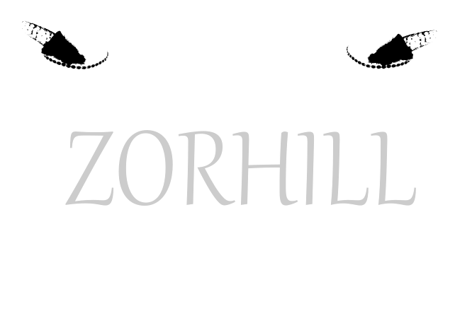 SPA&WELLNESS ZORHILL