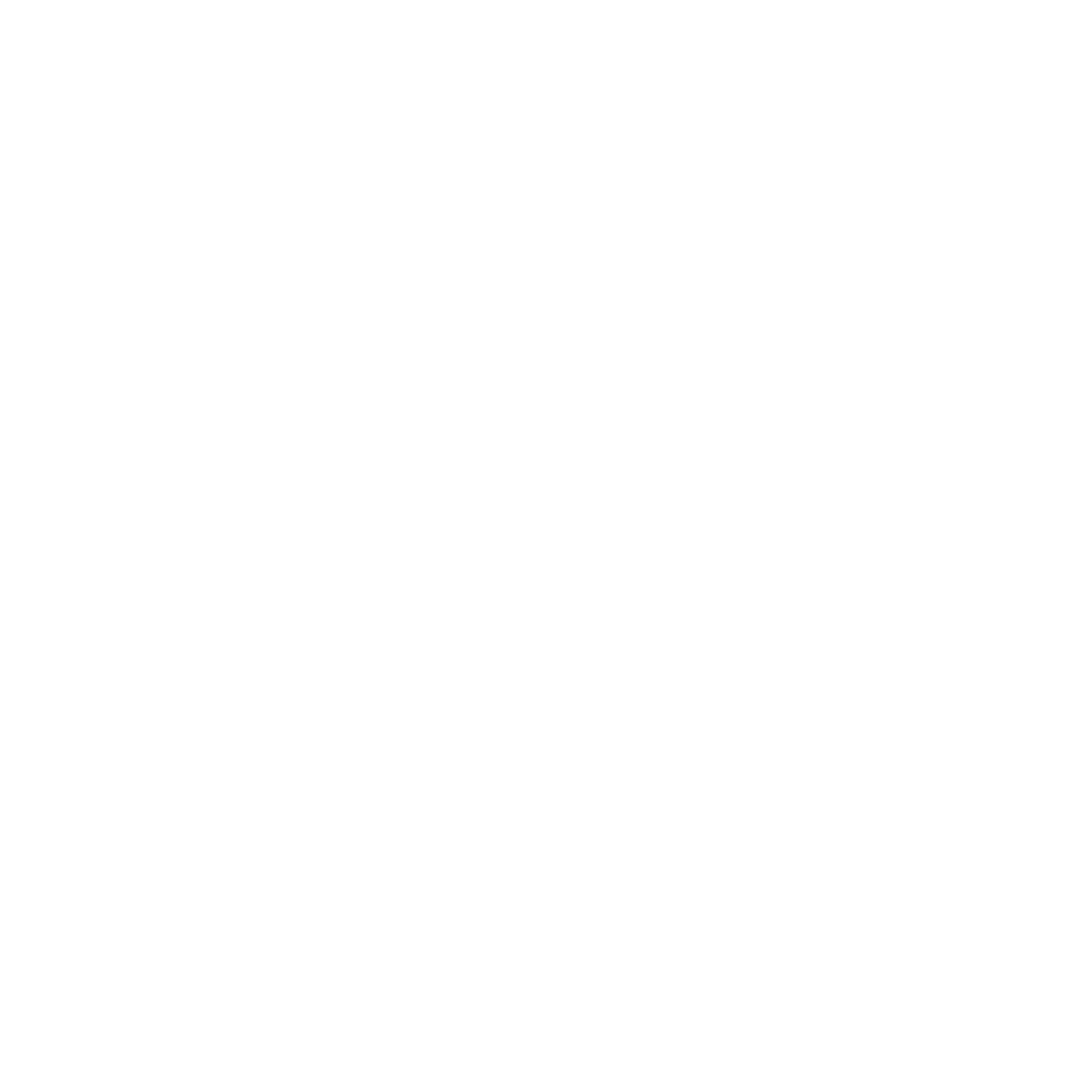 Best Scipt Award