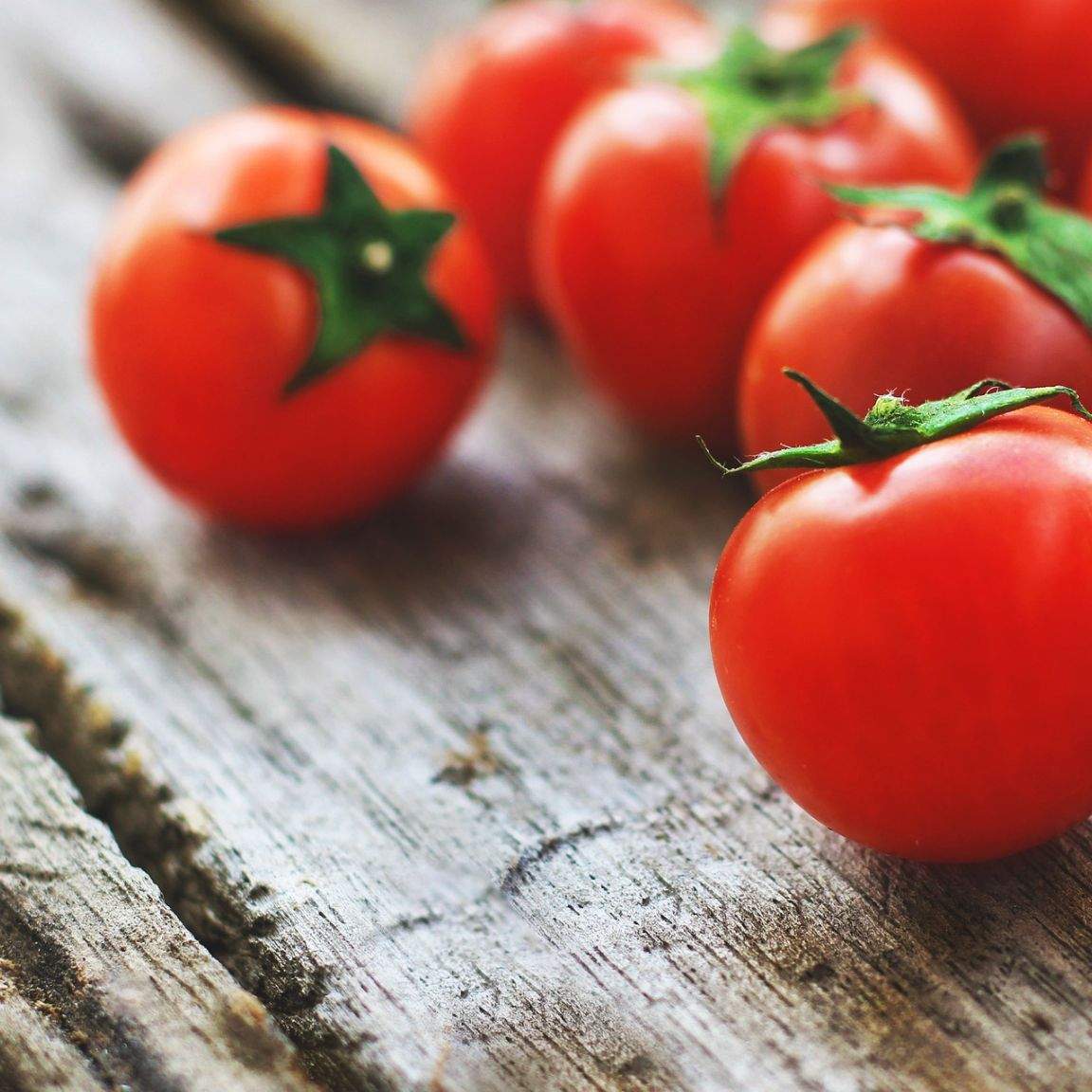 10 krokov pre úspešnú paradajkovú sezónu