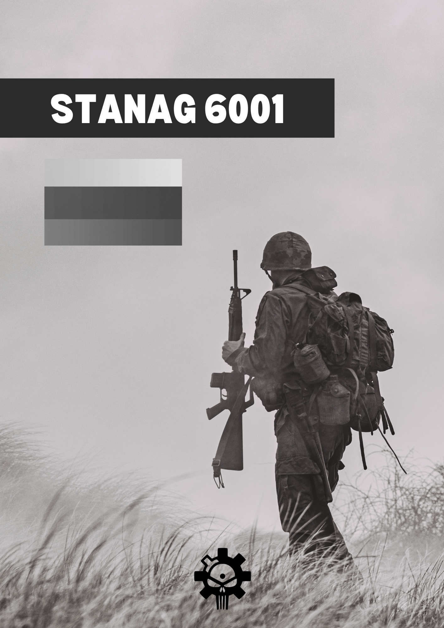 Individual Russian course - STANAG 6001 (2222)