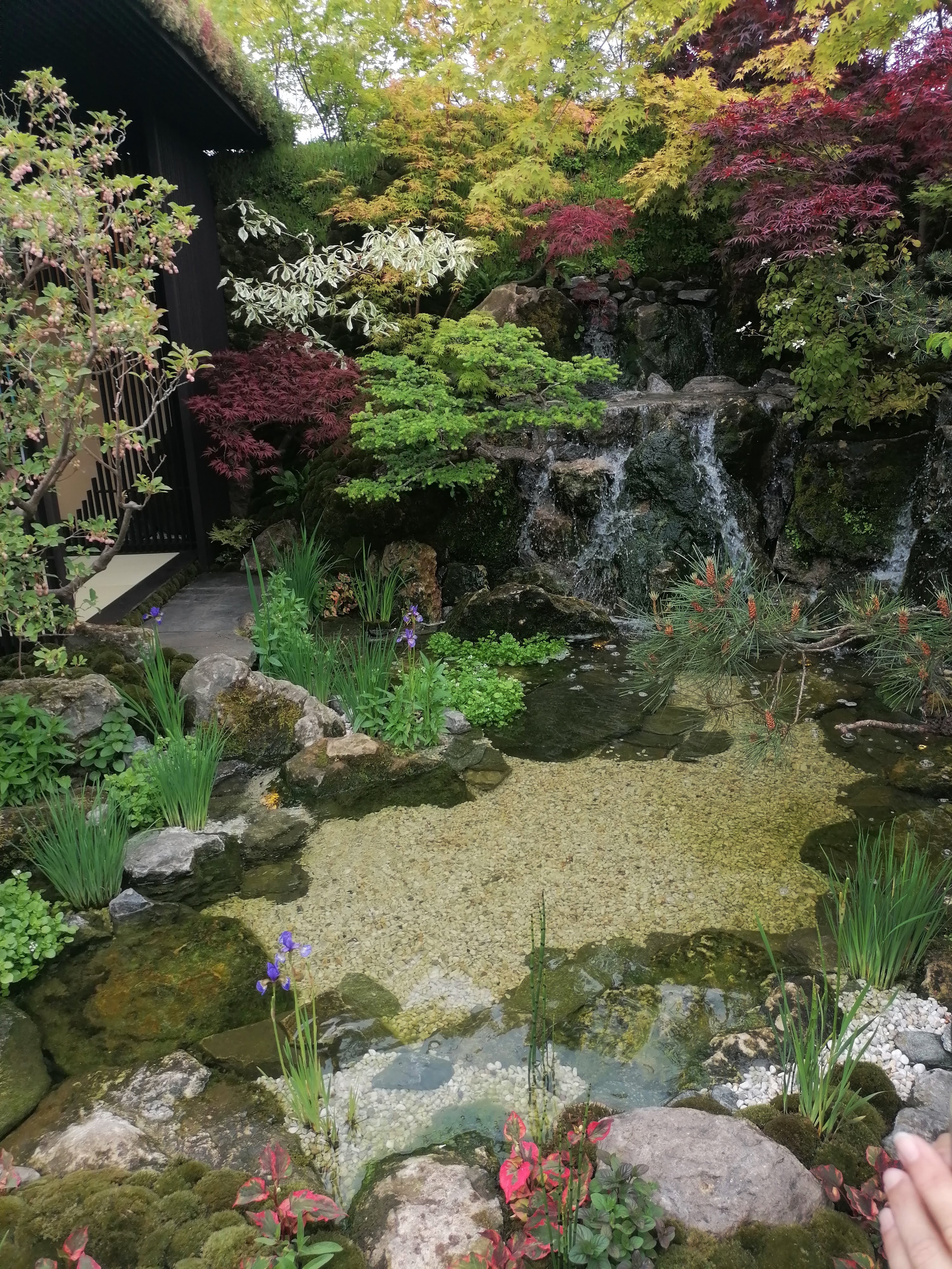 The Biophilic Garden, Otsu - Hanare