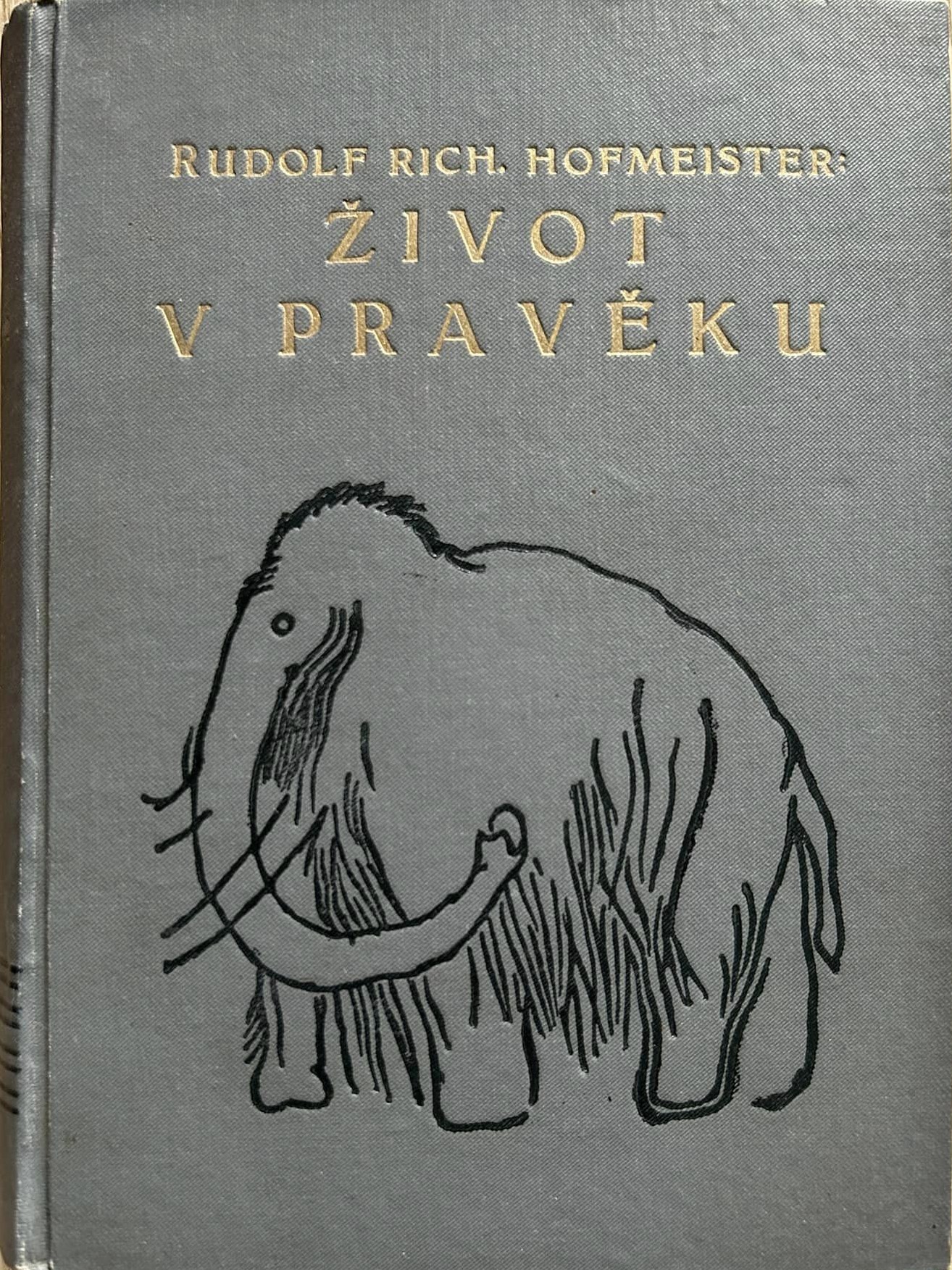 Život v pravěku