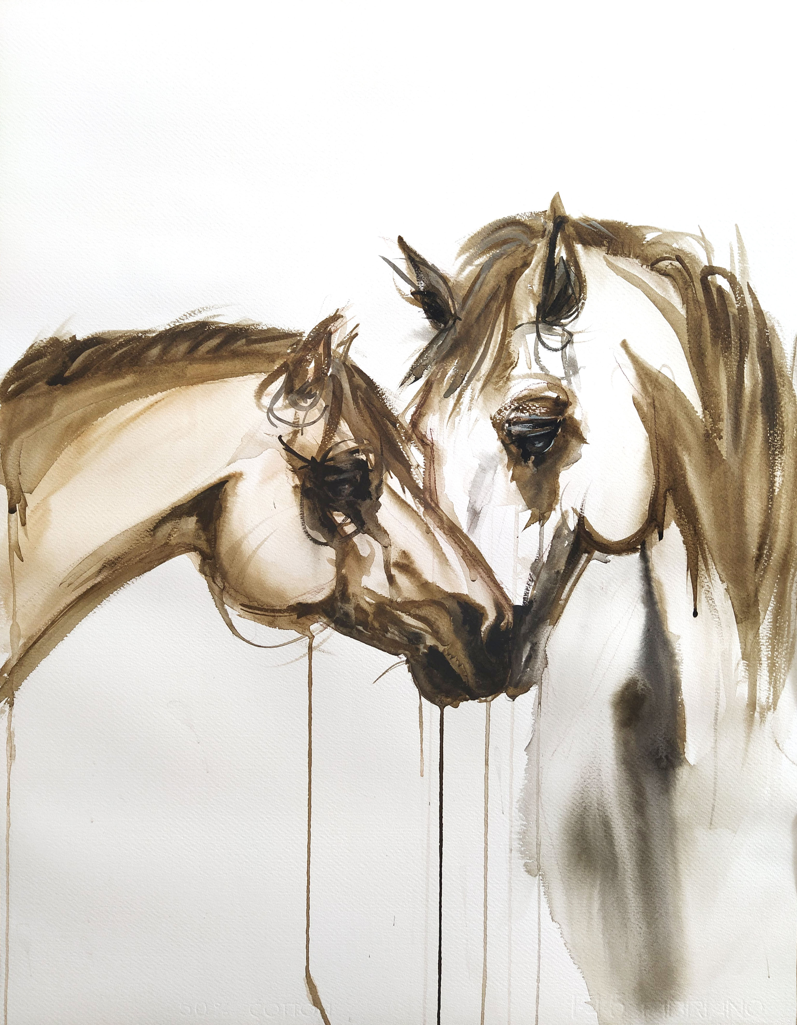 Akvarelová maľba dva kone