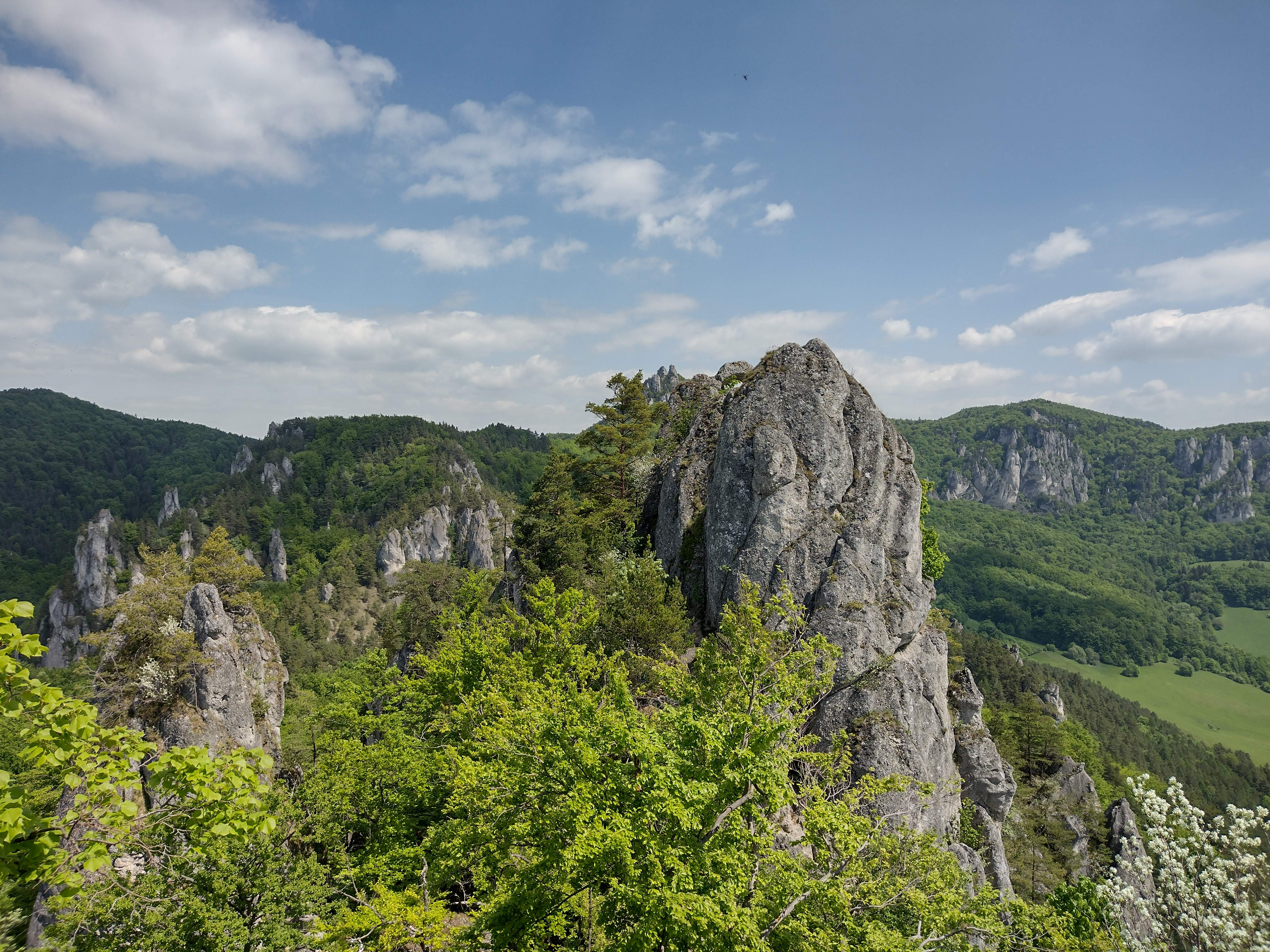 Súľovské skaly