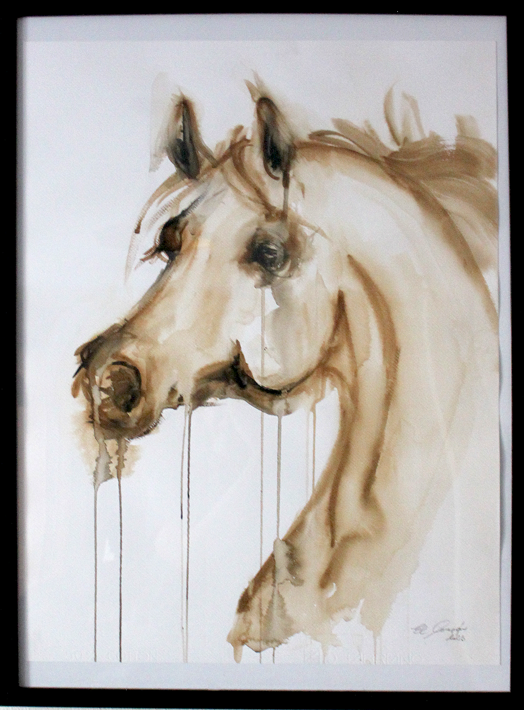 Akvarel kôň