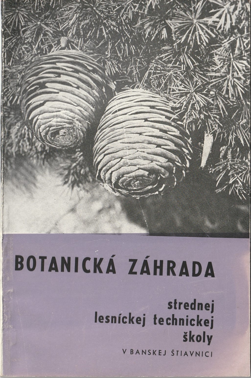 Botanická záhrada strednej lesníckej technickej školy v Banskej Štiavnici