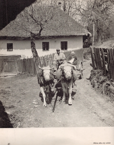 Belický Karol - Nová tvár Slovenska