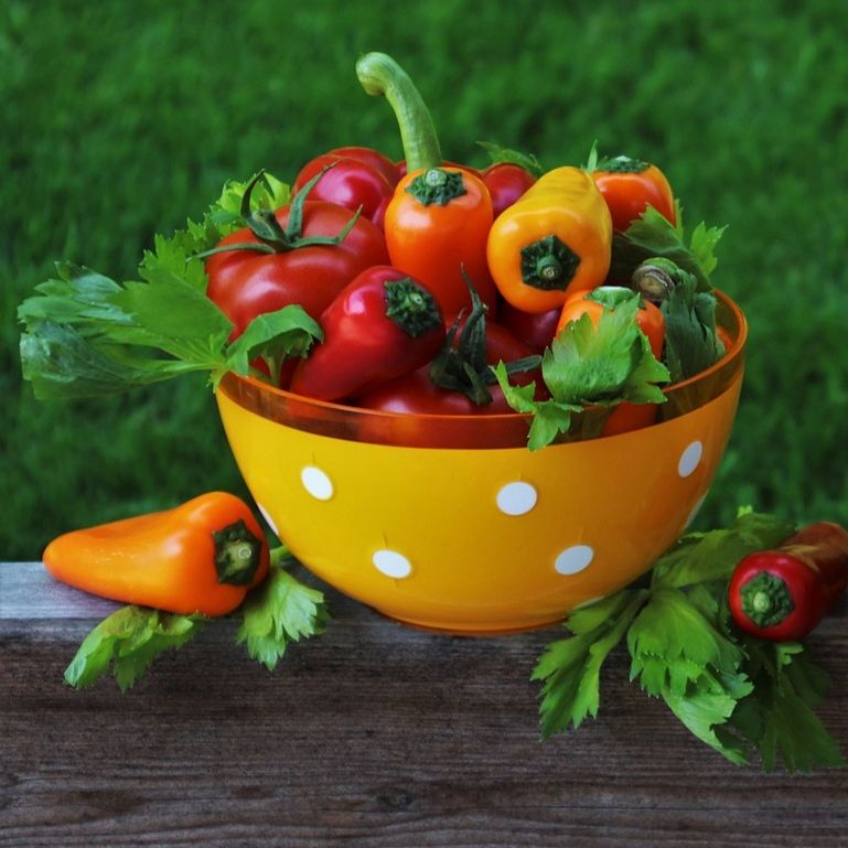 Výsadba paradajky vs. papriky