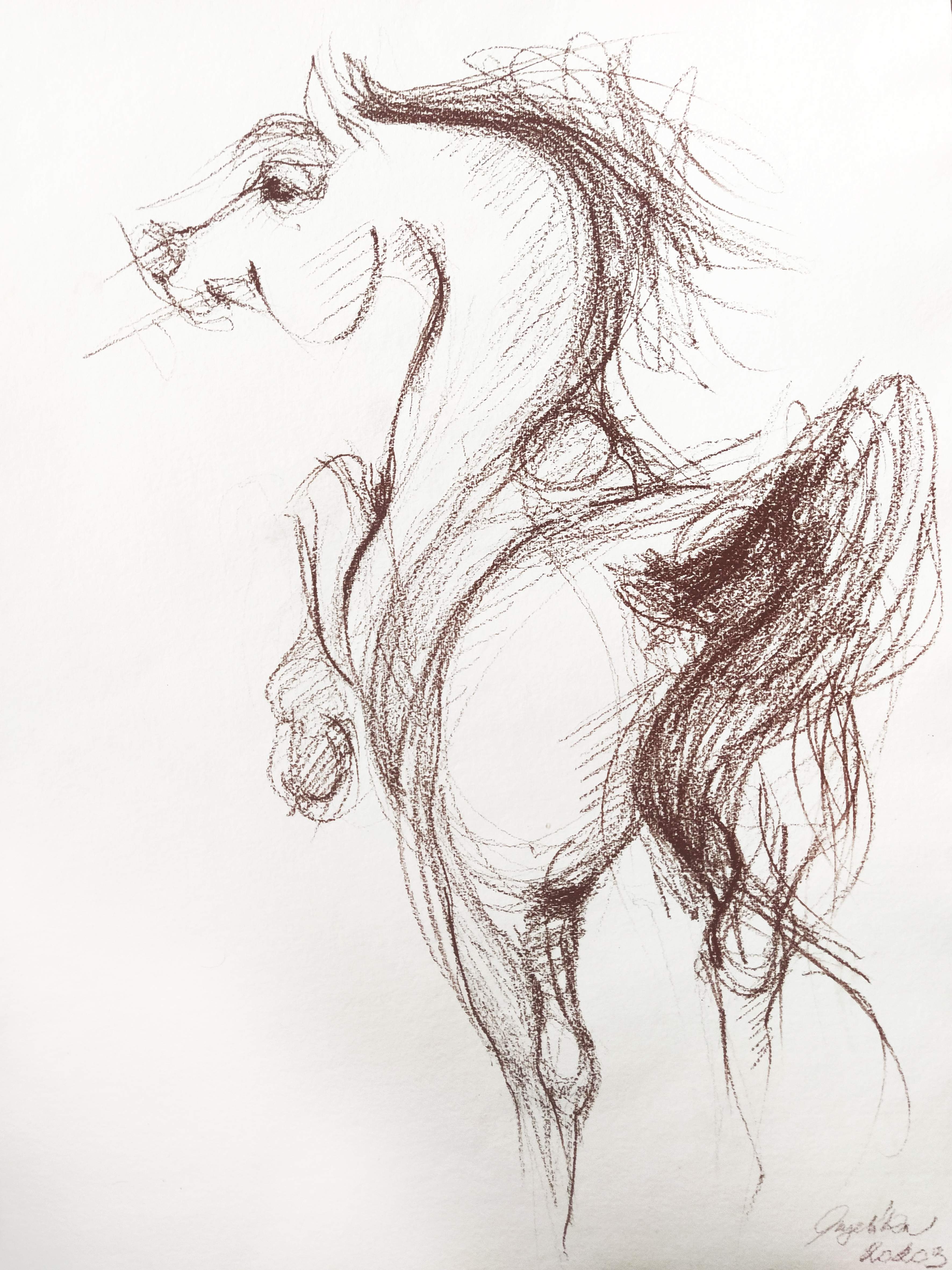 Kresba kôň