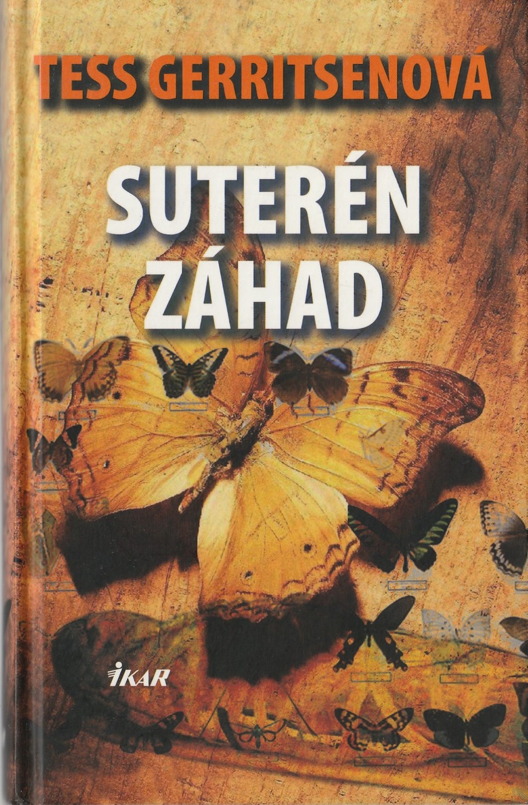 Gerritsen Tess - Suterén záhad