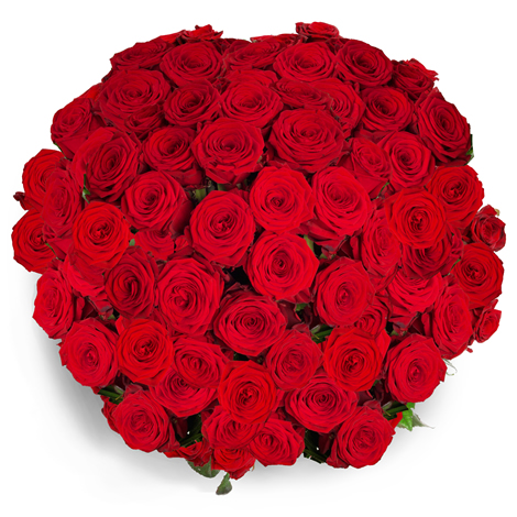 Sabrina 50ks červené ruže