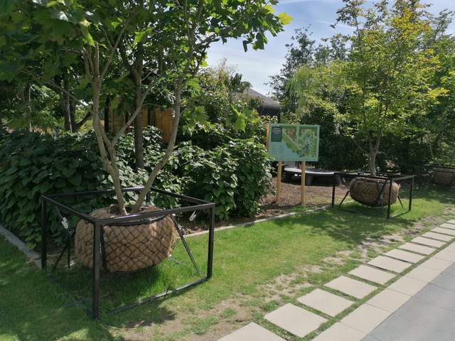 Záhrada s prezentáciou závlahových systémov/ Garden with irrigation system presentation